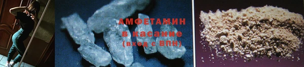 шишки Мегион