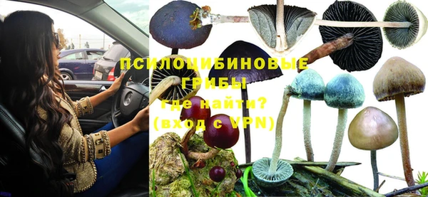 шишки Мегион