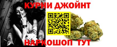 сатива Бийск