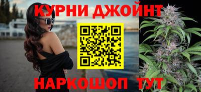 сатива Бийск