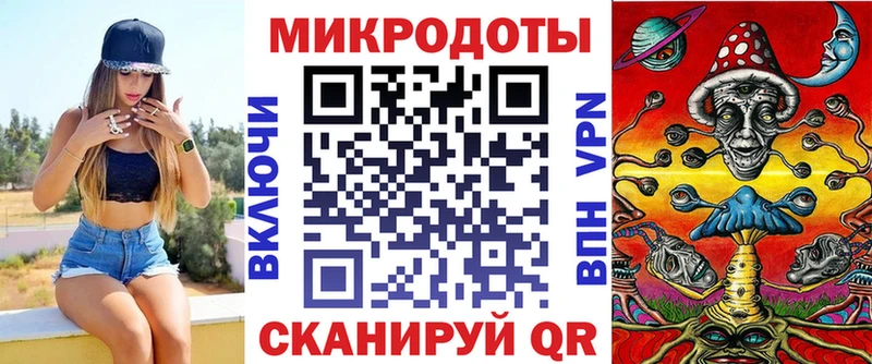 купить   Кингисепп  Галлюциногенные грибы Cubensis 