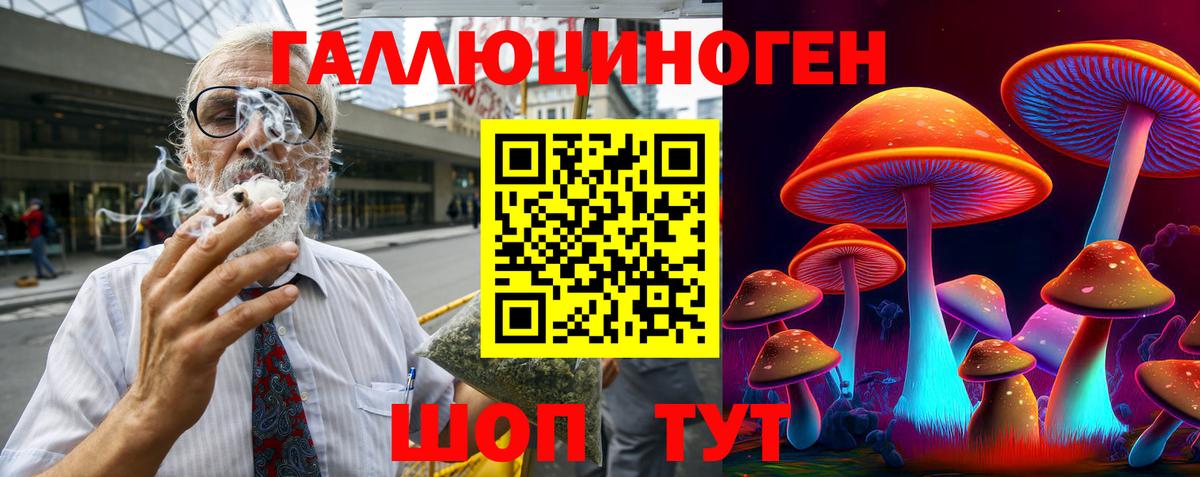 Кингисепп  Галлюциногенные грибы MAGIC MUSHROOMS  Вход с VPN 