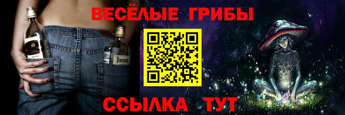 Галлюциногенные грибы прущие грибы Кингисепп
